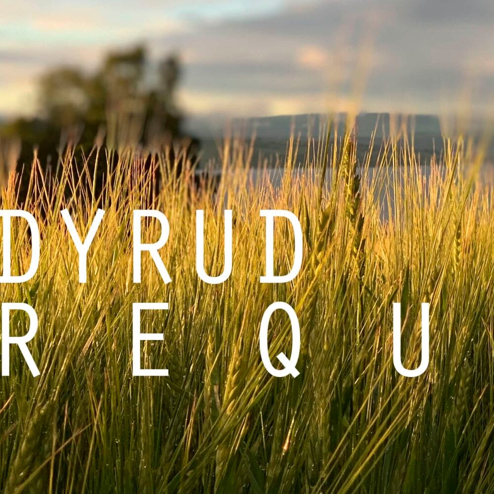 alleh_face Et kornåker ved solnedgang med teksten «DYRUD REQUI» lagt over bildet.